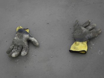 Dos Gloves