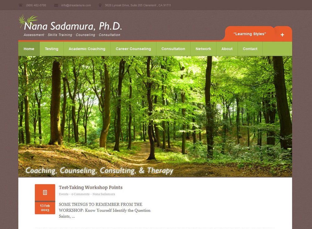 Dr Sadamura Homepage screenshot 2013